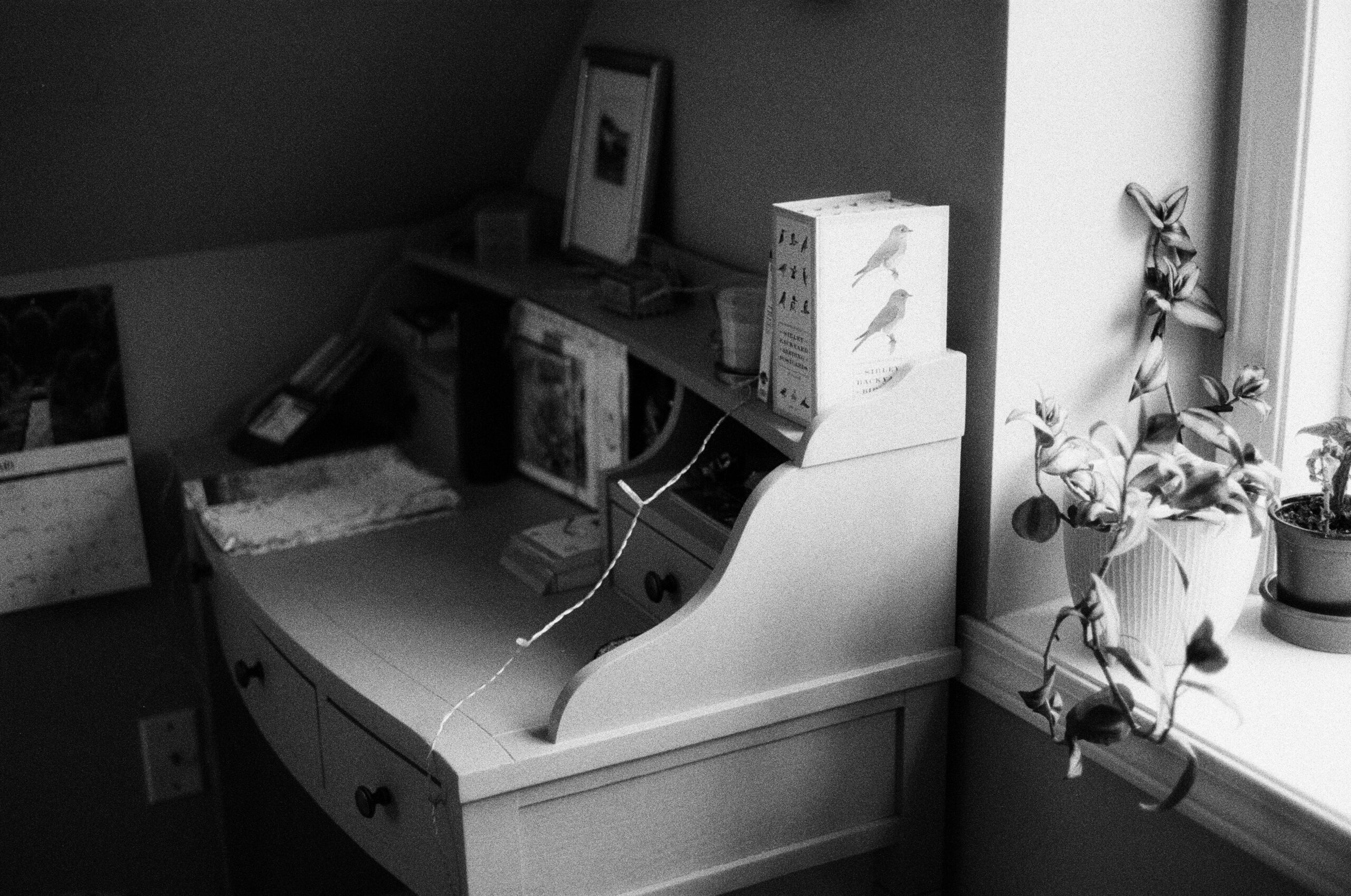 A black and white image of a small desk with a decorative plant